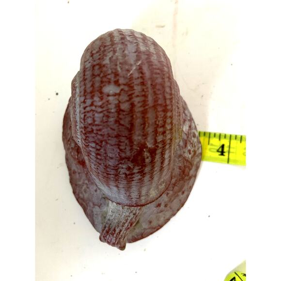 Vintage Pink White Snail Rock Aquarium Decorations - Picture 9 of 10